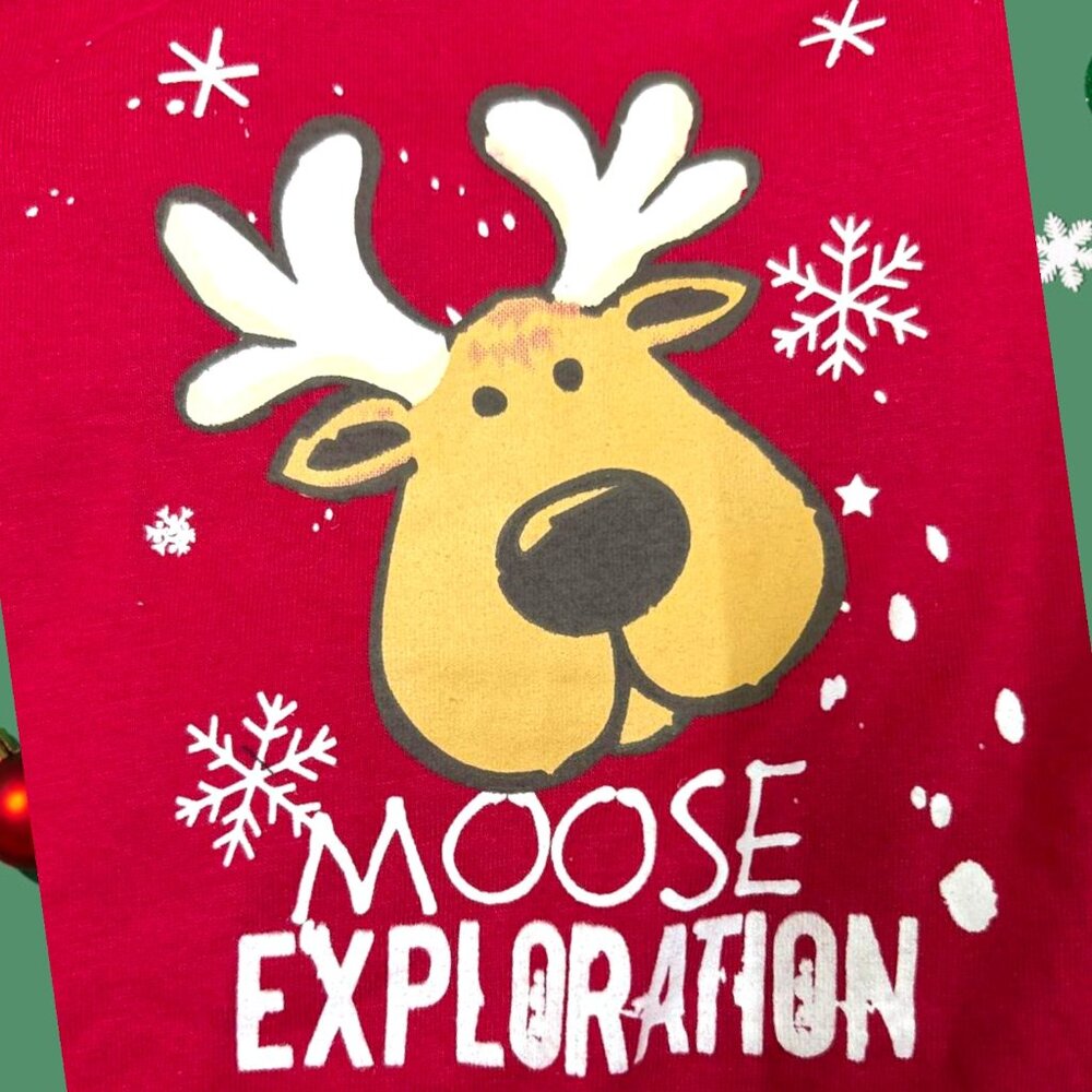 Kids Moose Exploration Christmas Pajama Set – Red Reindeer Top & Snowflake Pants - Picture 2 of 5